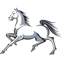 Mustang Horse Transparent