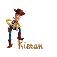Toy Story Woody File