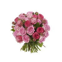 Pink Roses Flowers Bouquet Free Download