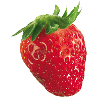 Strawberry File