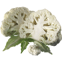Cauliflower Png Image