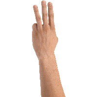 Hands Png Hand Image 