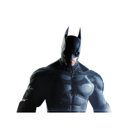 Batman Arkham Origins File