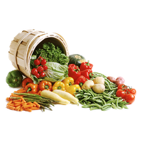 Vegetable Clipart