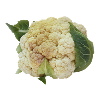 Cauliflower Image