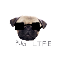 Pug Life Clipart