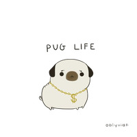 Pug Life Image