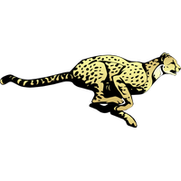 Cheetah Transparent Image