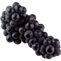 Black Grape Png Image