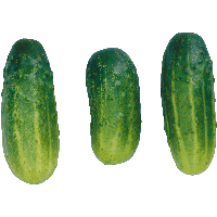 Cucumbers Png Image