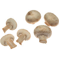 White Mushrooms Png Image