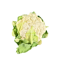 Cauliflower File