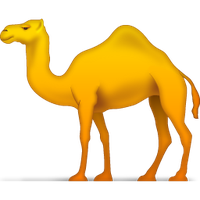 Camel Hd