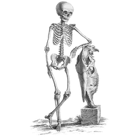 Halloween Skeleton File