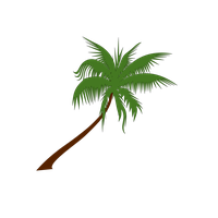 Coconut Tree Free Download