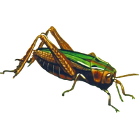 Grasshopper File