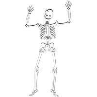 Halloween Skeleton Photos