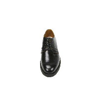 Black Shoe