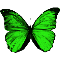 Green Flying Butterfly Png Image
