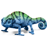 Chameleon Transparent Image