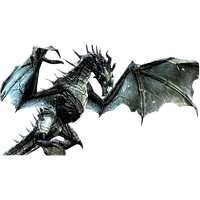 Realistic Dragon Transparent
