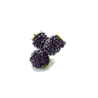 Black Raspberries Image
