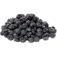 Black Raspberries Transparent Image