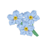 Forget Me Not Transparent Picture