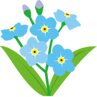 Forget Me Not Transparent Background