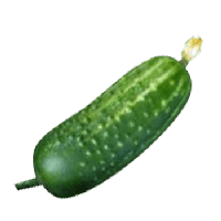 Cucumber Png Image Picture Download