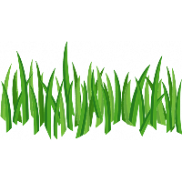 Grass Png Image Green Picture