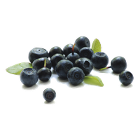 Berries Transparent Background