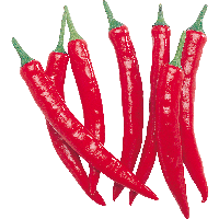 Red Chili Pepper Png Image