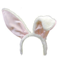 Easter Bunny Ears Transparent Background