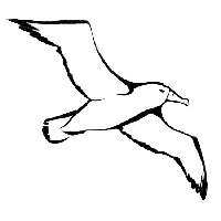 Albatross File