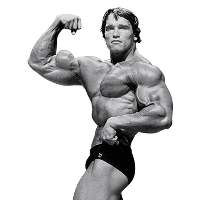 Arnold Schwarzenegger File