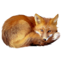 Artistic Fox Transparent