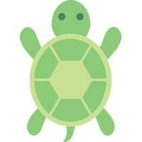 Cute Turtle Free Download