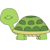 Cute Turtle Photo