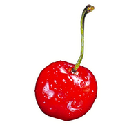 Cherry Free Download Png