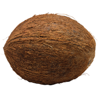 Coconut Png File