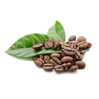 Coffee Beans Free Png Image