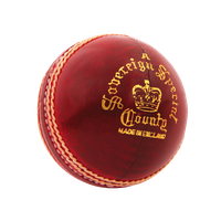 Cricket Ball Picture