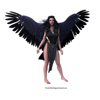 Dark Angel Picture