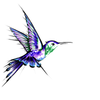 Hummingbird Tattoos Transparent