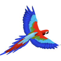 Macaw Png Clipart