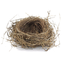 Nest Free Download Png