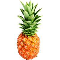 Pineapple Png Clipart