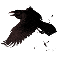 Raven Png