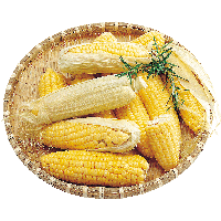 Corn Png Image
